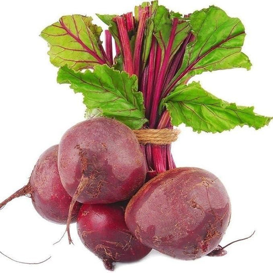 Beetroot Seeds (Free Organic Pot Mix 100 gm)
